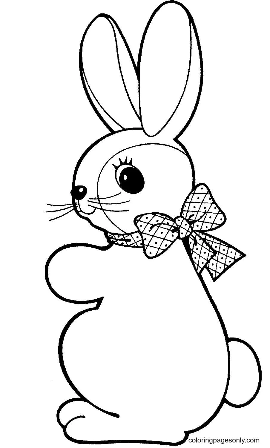 Conejitos Lindos Para Colorear 39