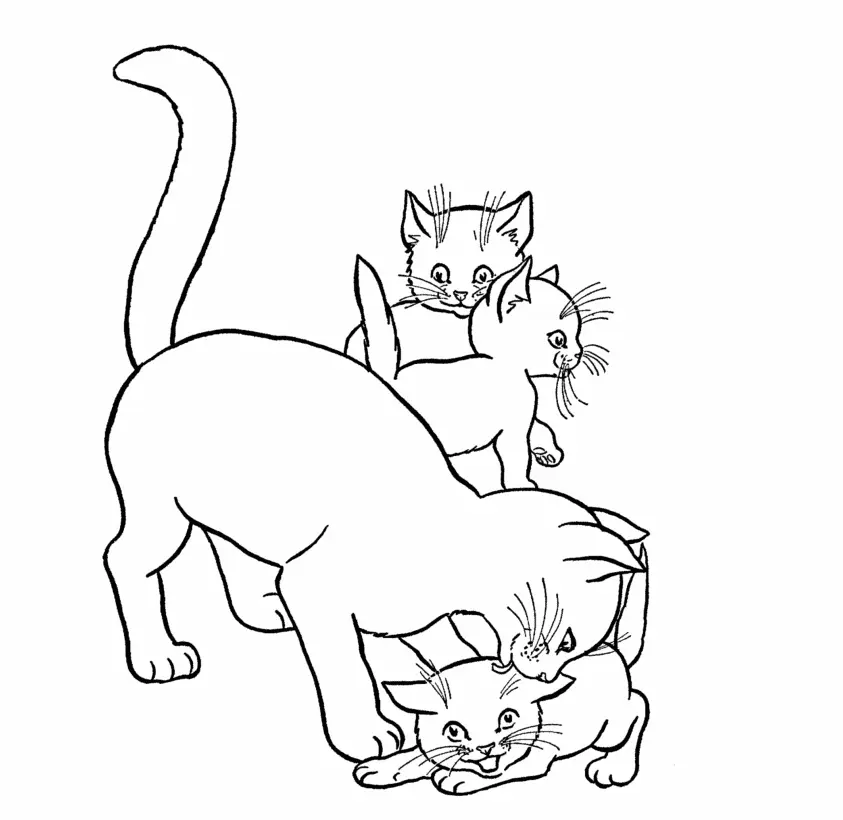 Cute Cat Coloring Pages 17