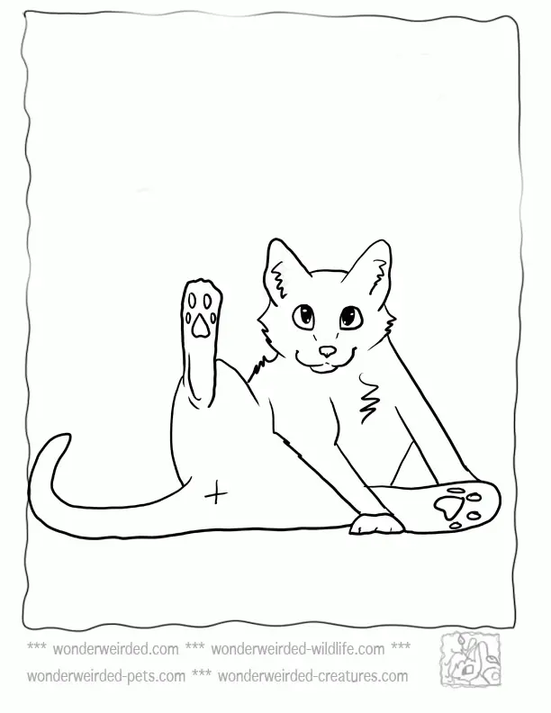 Cute Cat Coloring Pages 40