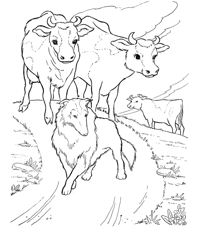 Cute Cow Coloring Pages 12