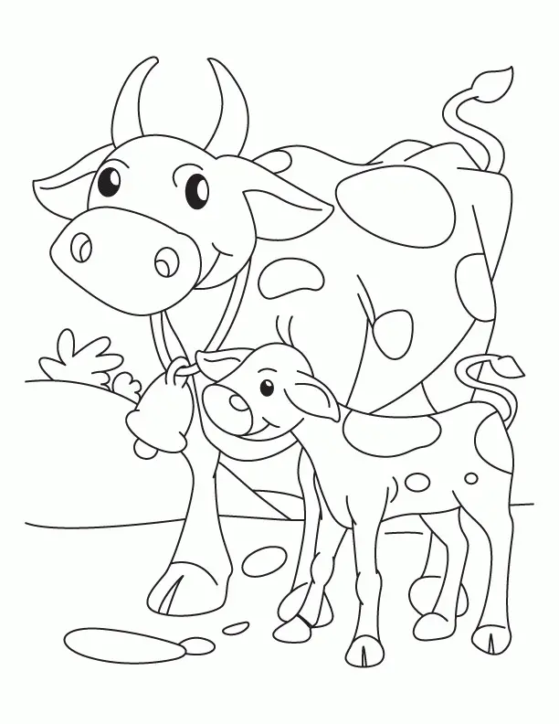 Cute Cow Coloring Pages 21