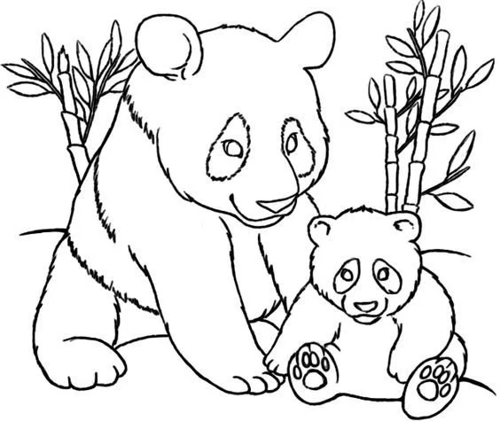 Desenhos de Panda Fofo Para Colorir 19