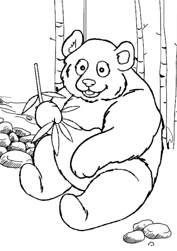 Desenhos de Panda Fofo Para Colorir 31