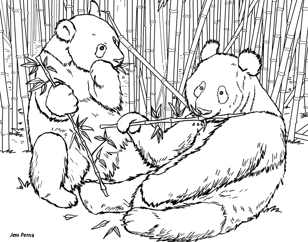 Desenhos de Panda Fofo Para Colorir 5