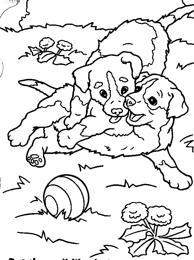 Cute Puppy Coloring Pages 9