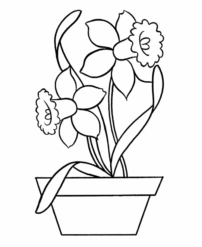 Narcisos Para Colorear 1