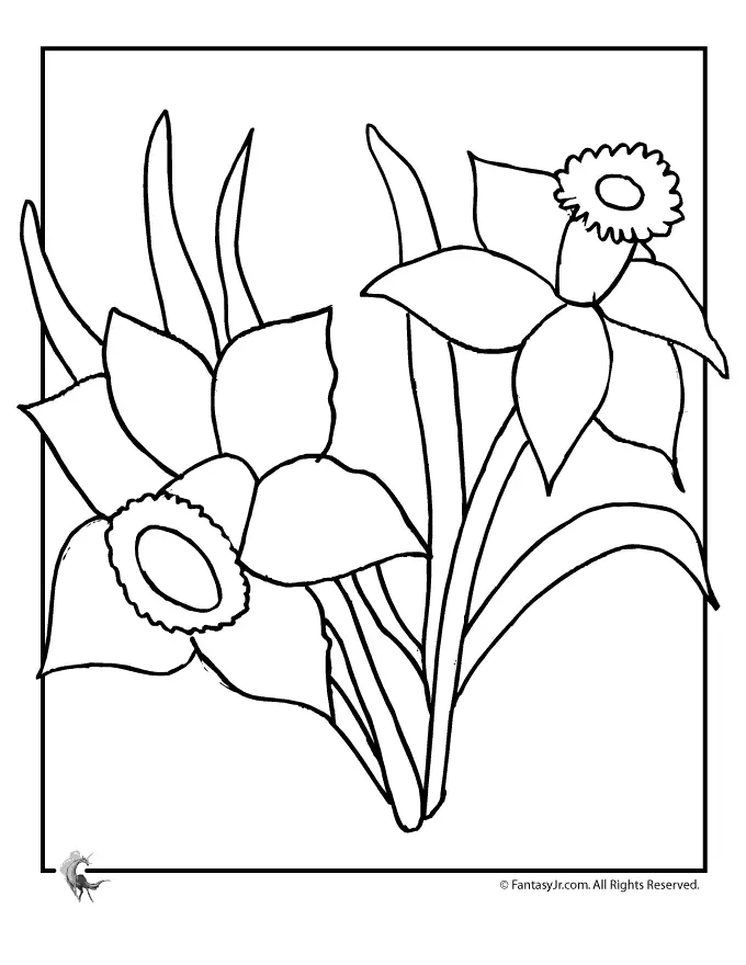 Narcisos Para Colorear 3