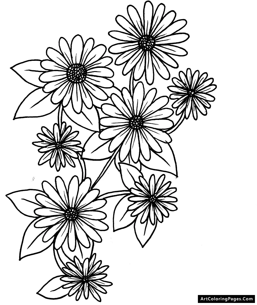 Daisies Coloring Pages 13