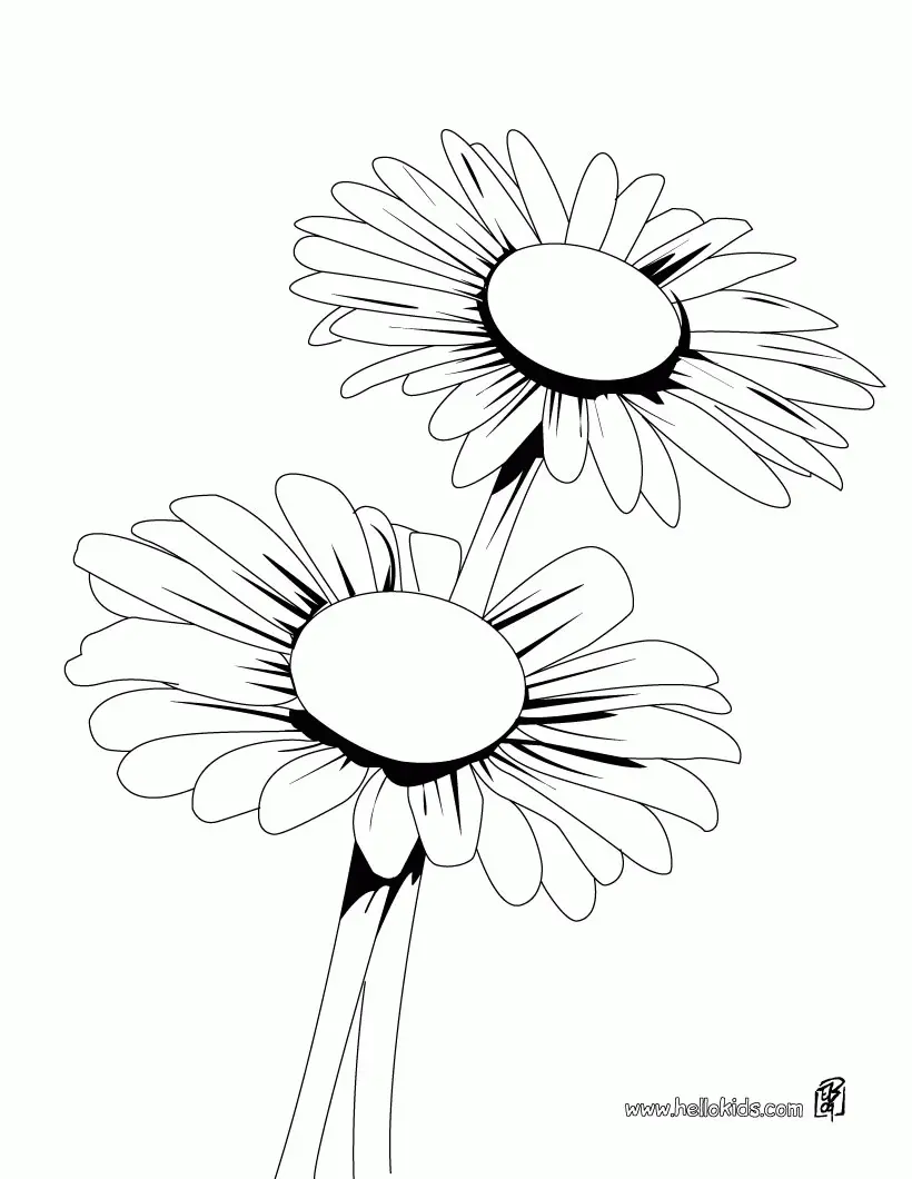 Daisies Coloring Pages 23