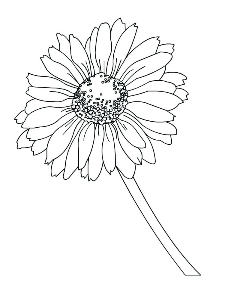 Daisies Coloring Pages 26