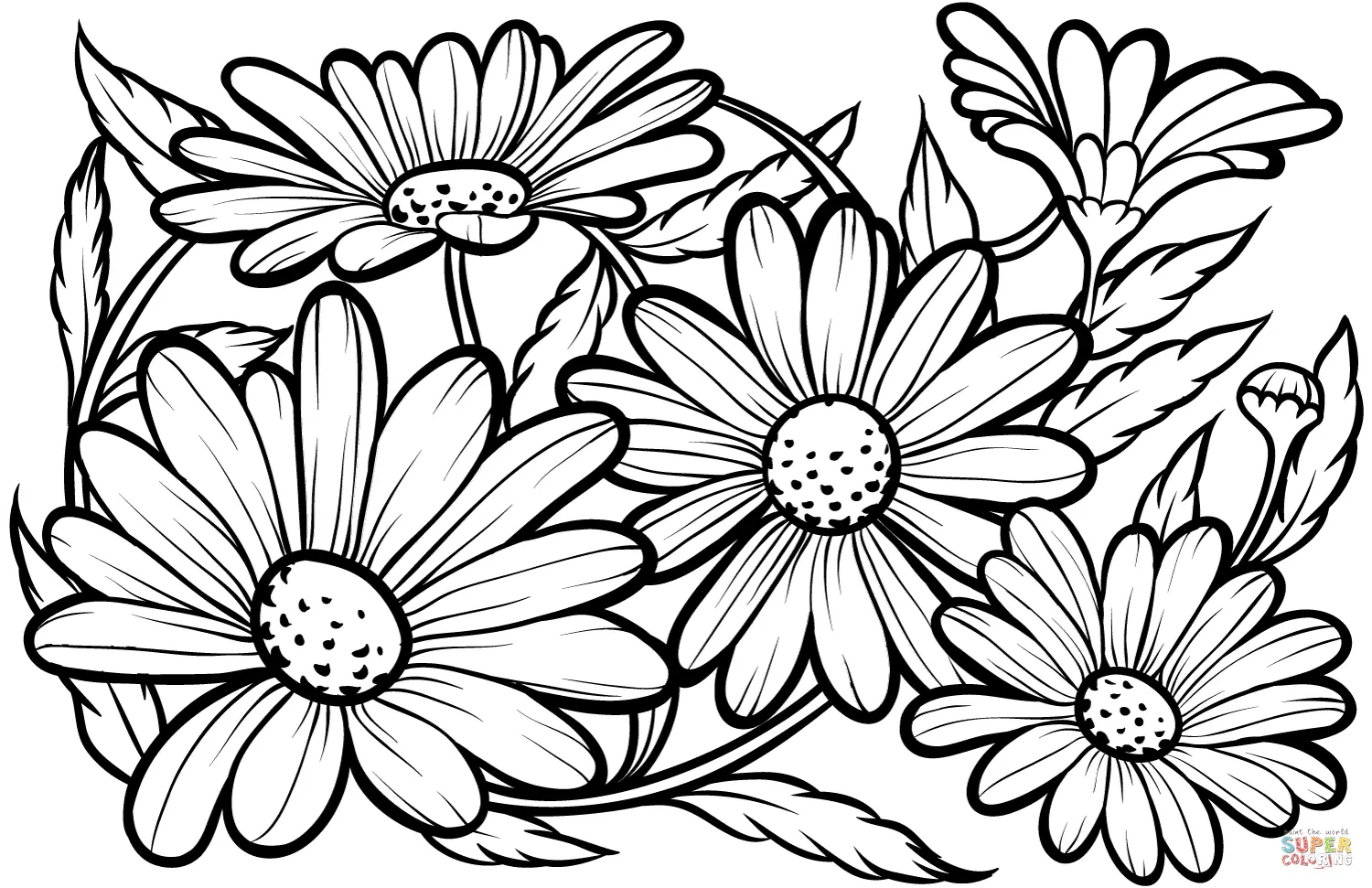 Daisies Coloring Pages 3