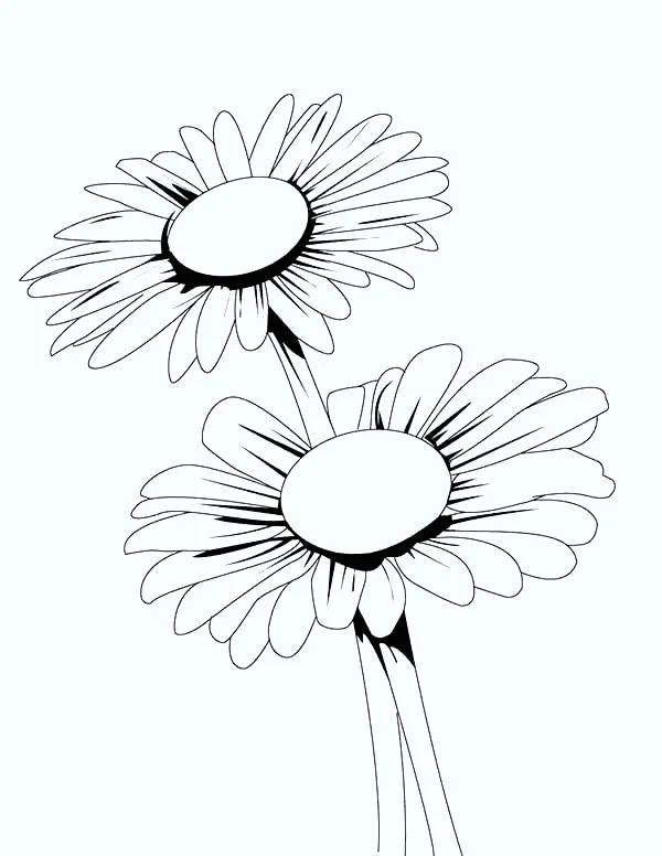 Daisies Coloring Pages 6