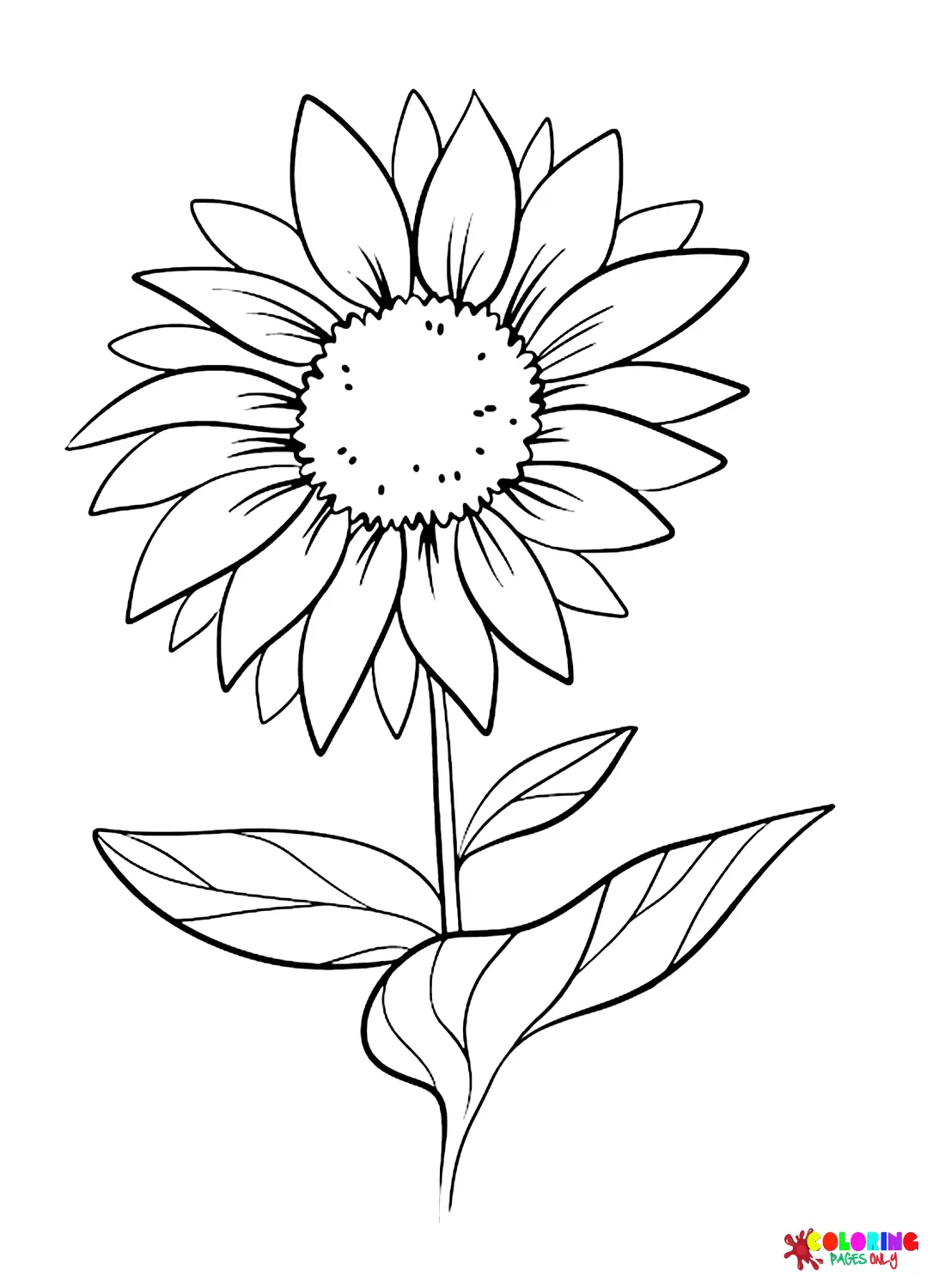 Margaritas Para Colorear 61