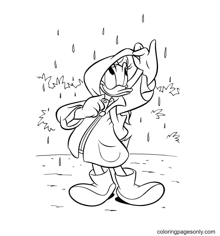 Daisy Duck Coloring Pages 16