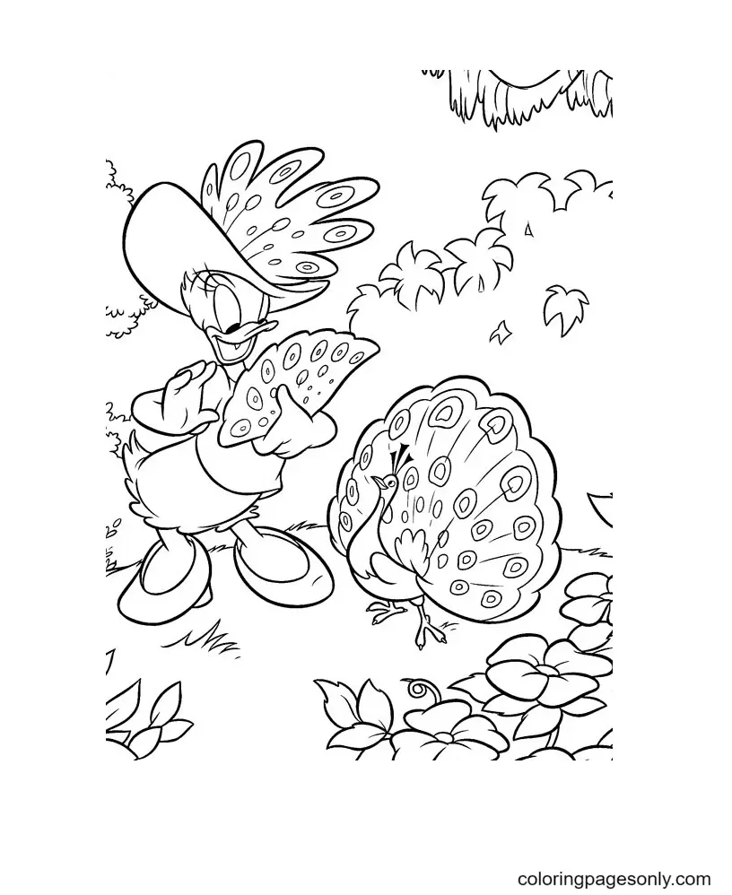 Daisy Duck Coloring Pages 24