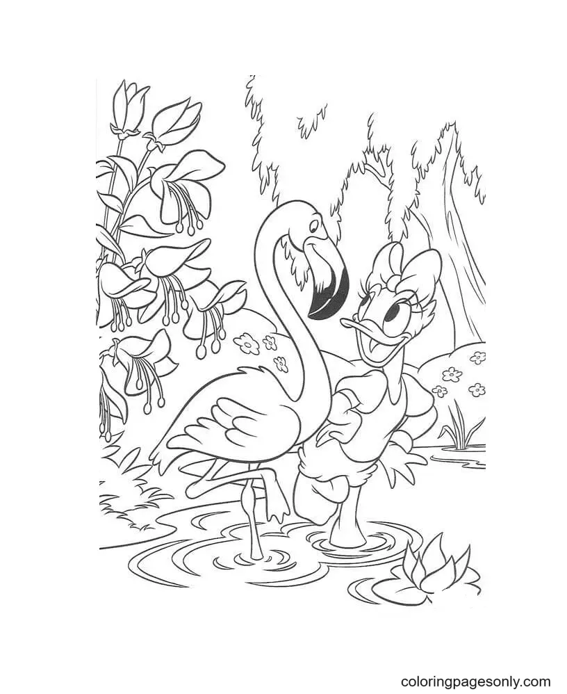 Daisy Duck Coloring Pages 48