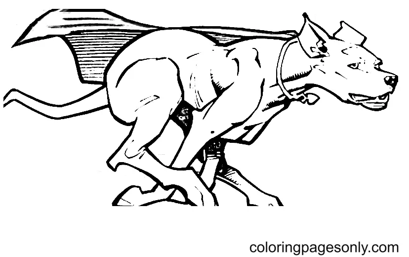 DC League of Super Pets Coloring Pages 10