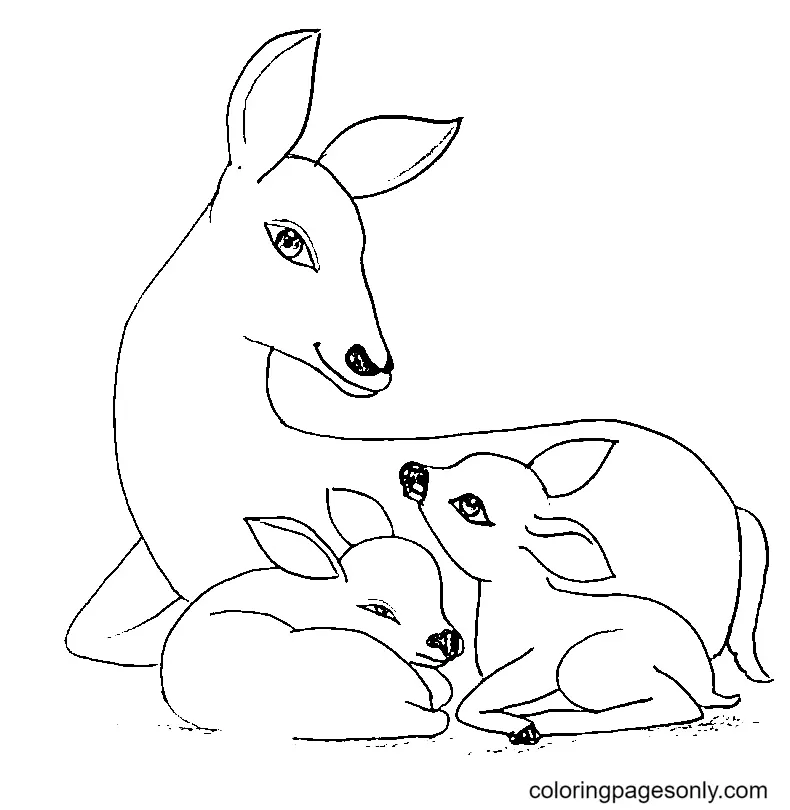 Desenhos de Veado Para Colorir 11