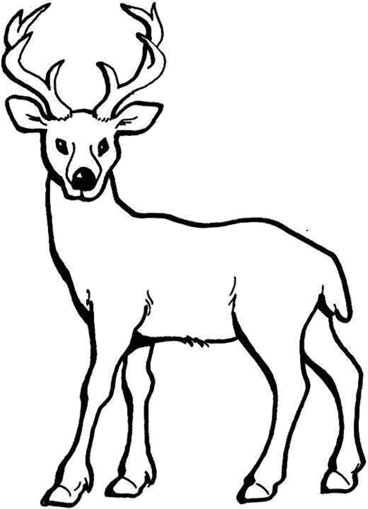 Desenhos de Veado Para Colorir 16