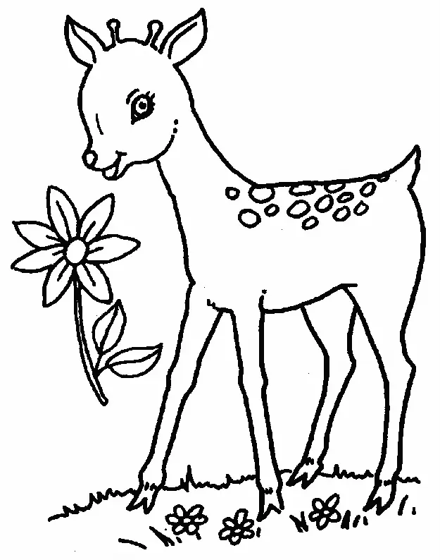 Desenhos de Veado Para Colorir 23