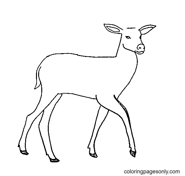 Desenhos de Veado Para Colorir 39