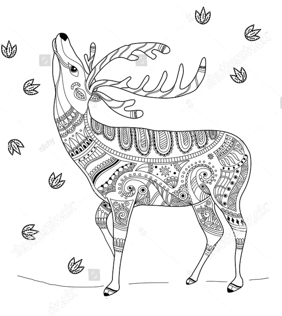 Desenhos de Veado Para Colorir 43