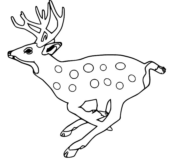Desenhos de Veado Para Colorir 50