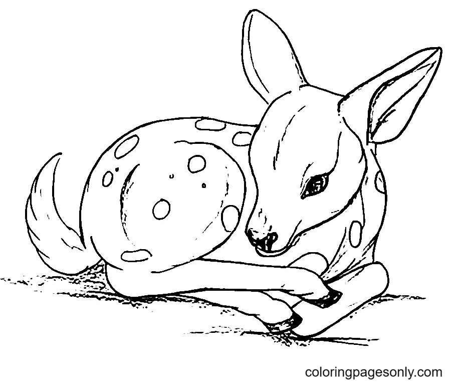 Desenhos de Veado Para Colorir 6