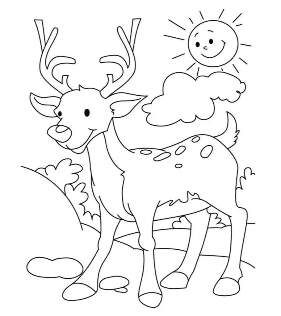 Desenhos de Veado Para Colorir 60
