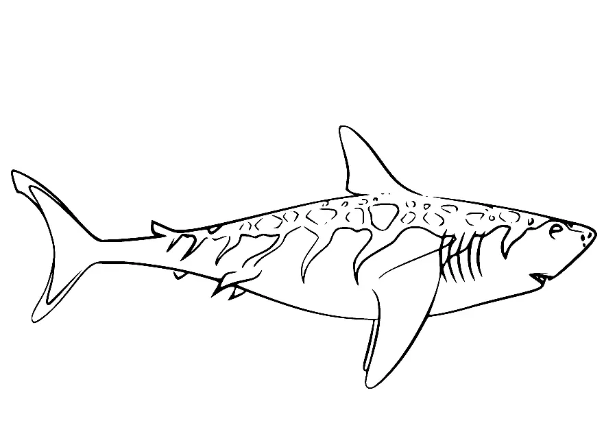 Dinosaur Train Coloring Pages 25