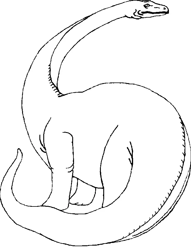 Desenhos de Dinossauros Para Colorir 17