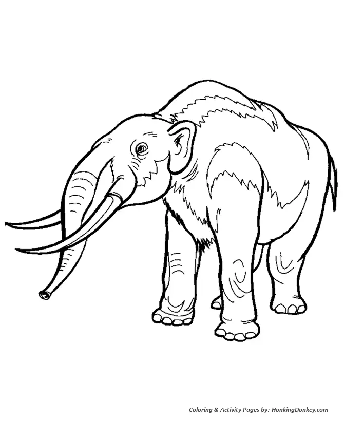 Desenhos de Dinossauros Para Colorir 33