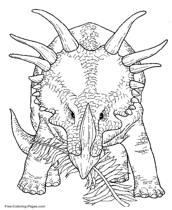 Desenhos de Dinossauros Para Colorir 39