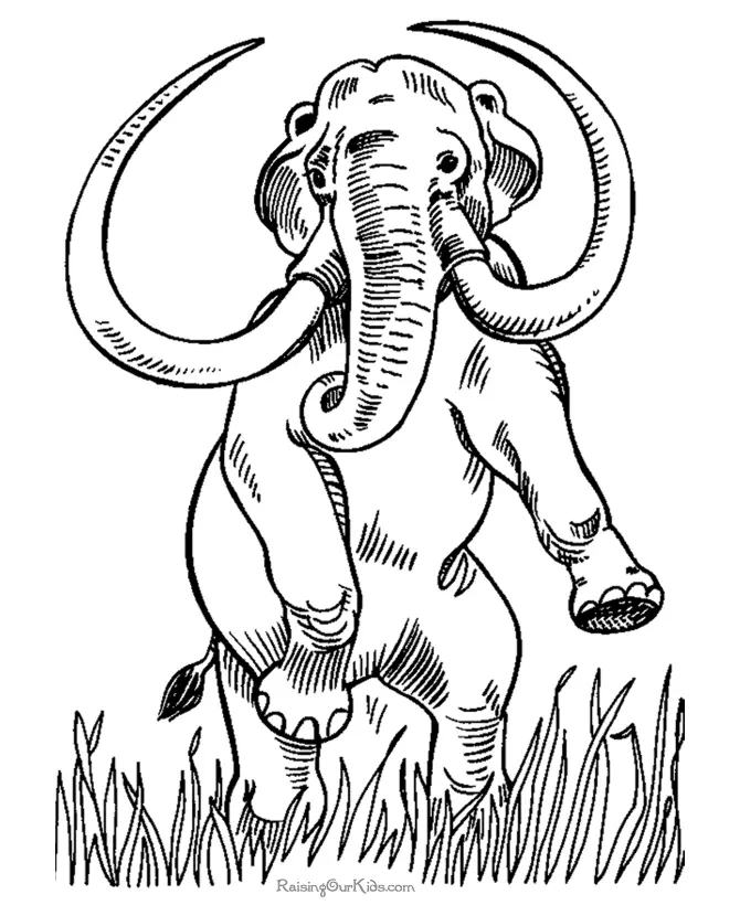 Desenhos de Dinossauros Para Colorir 45