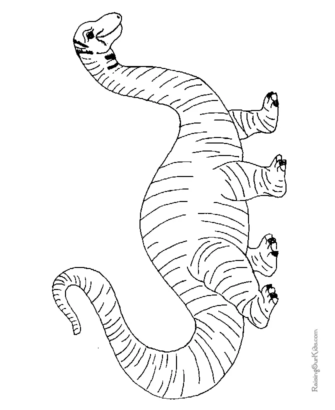 Desenhos de Dinossauros Para Colorir 8