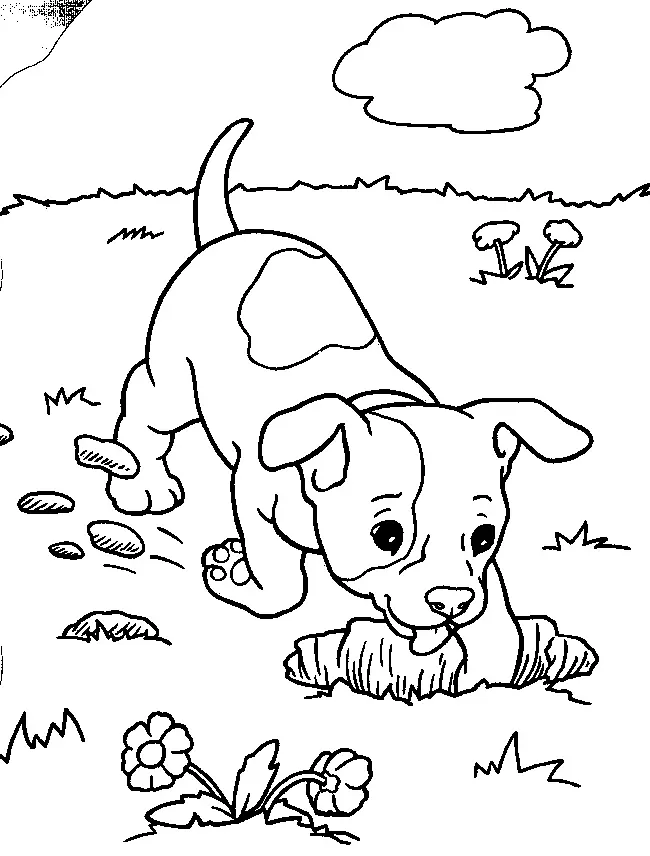 Perros Para Colorear 109