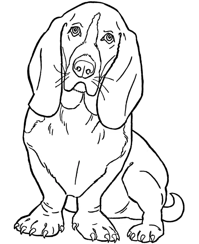 Perros Para Colorear 11