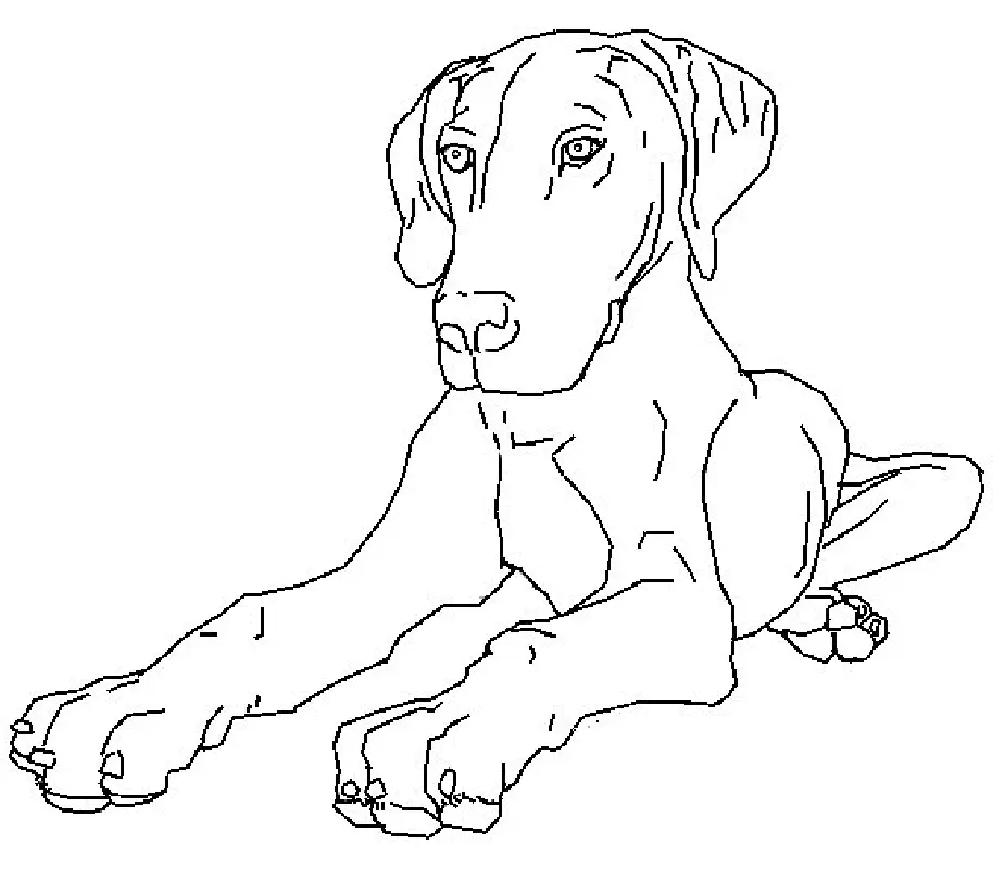Perros Para Colorear 112