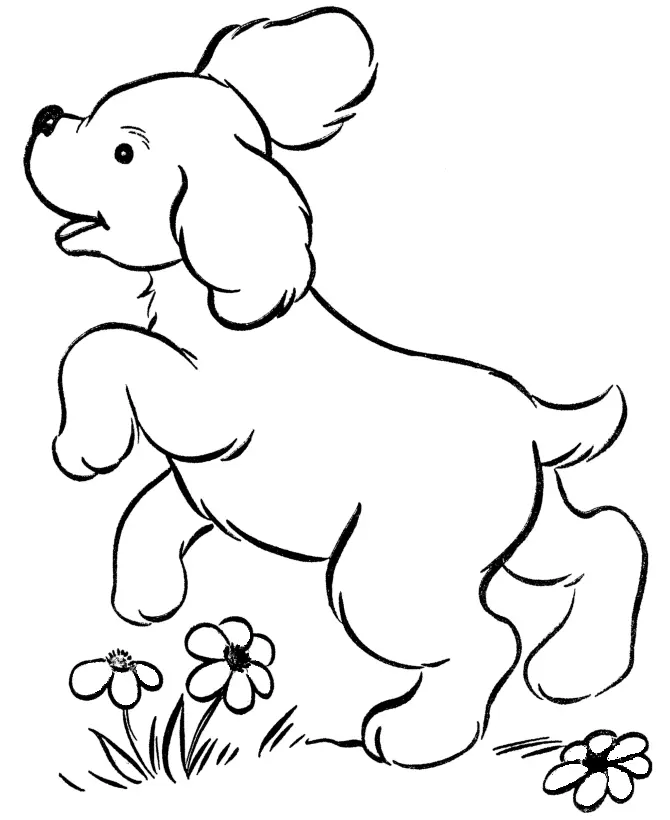 Perros Para Colorear 13