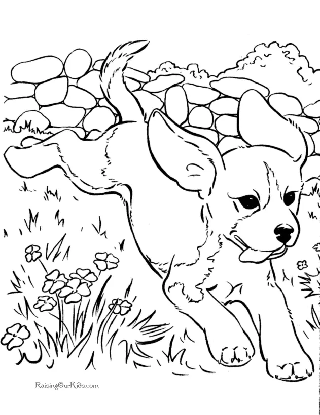 Perros Para Colorear 30