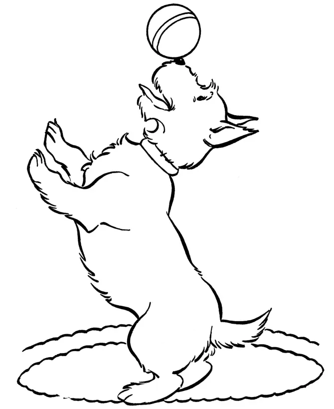 Perros Para Colorear 42