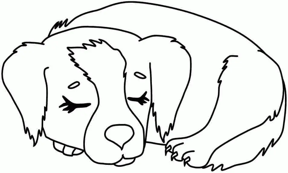 Perros Para Colorear 71