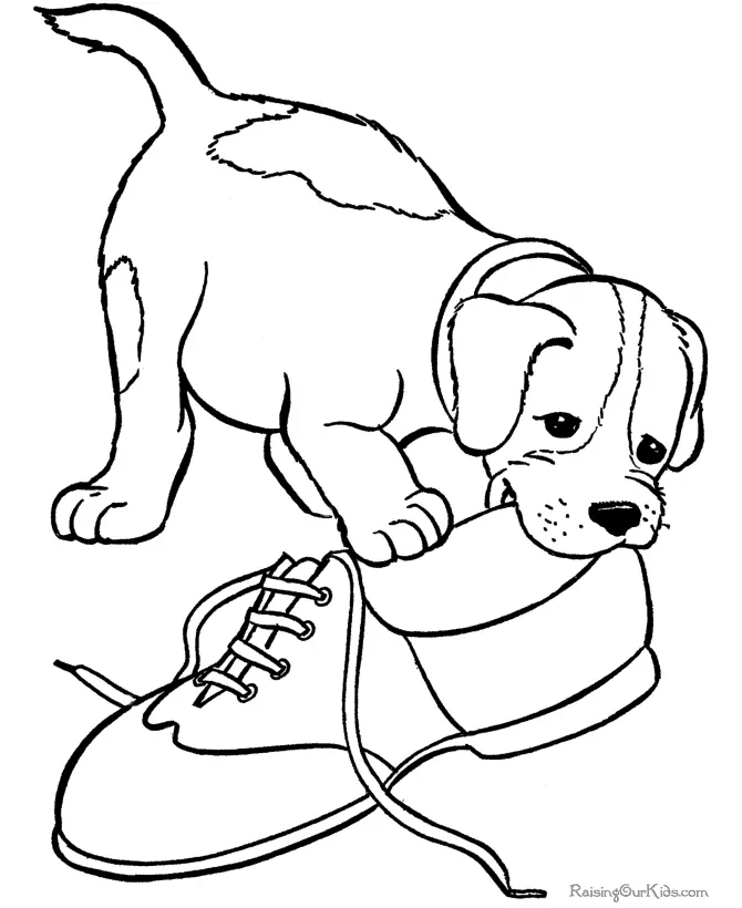 Perros Para Colorear 88