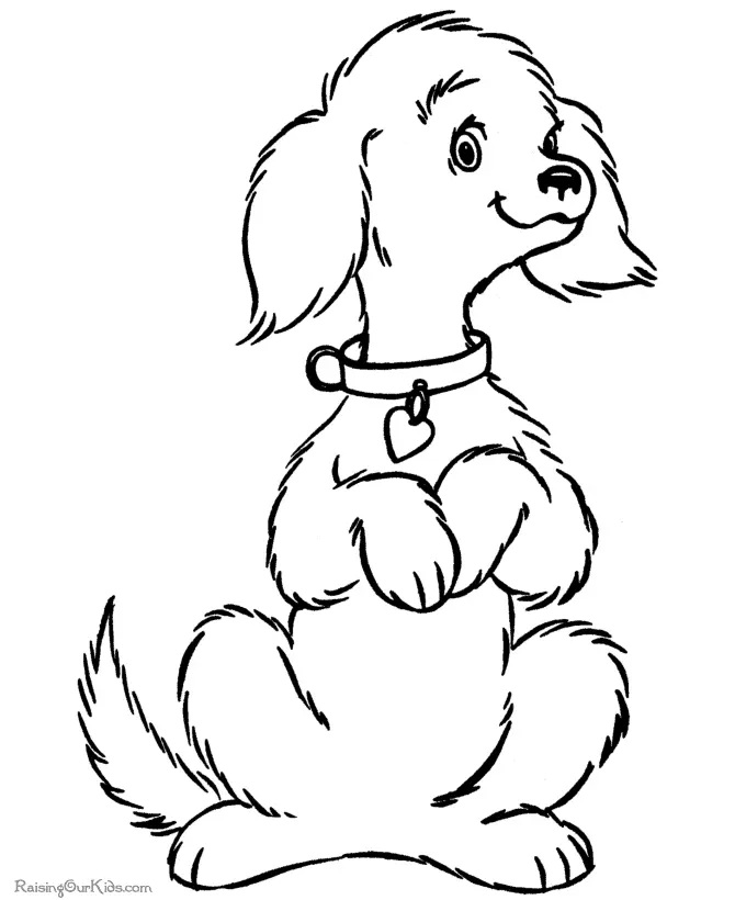 Perros Para Colorear 98