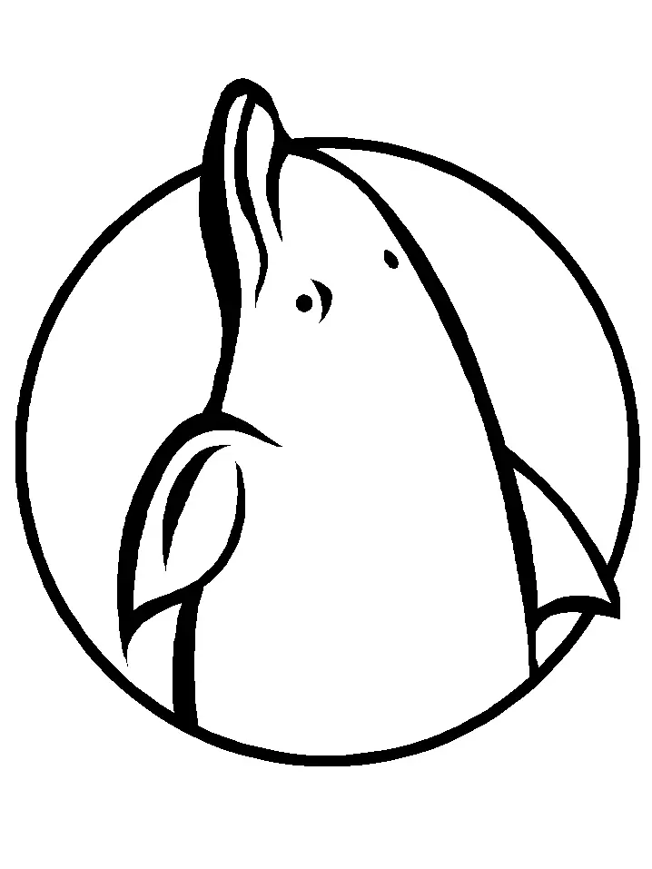 Dolphin Coloring Pages 100