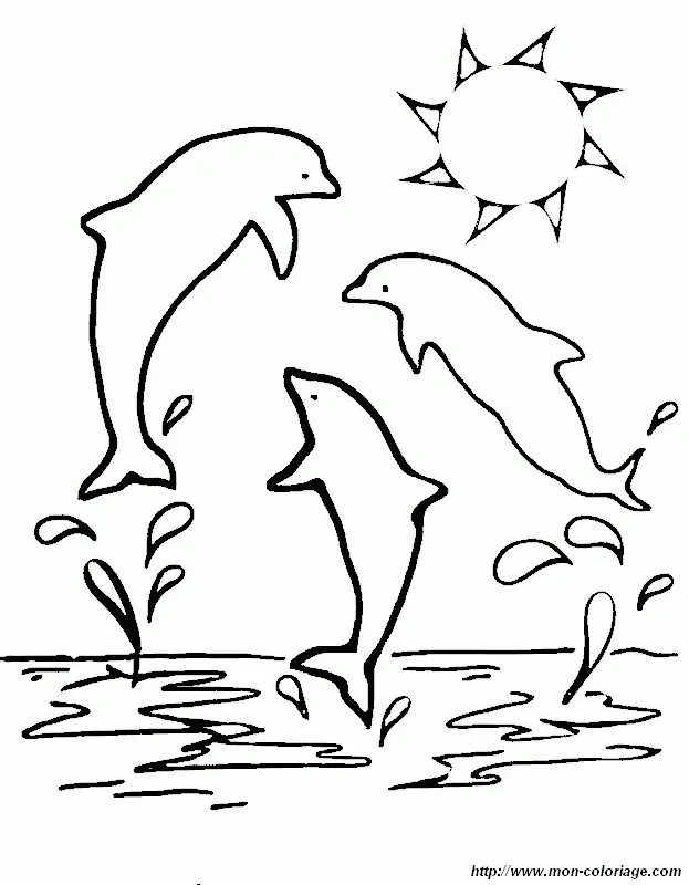 Dolphin Coloring Pages 108