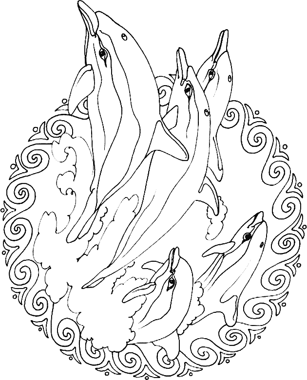 Dolphin Coloring Pages 12