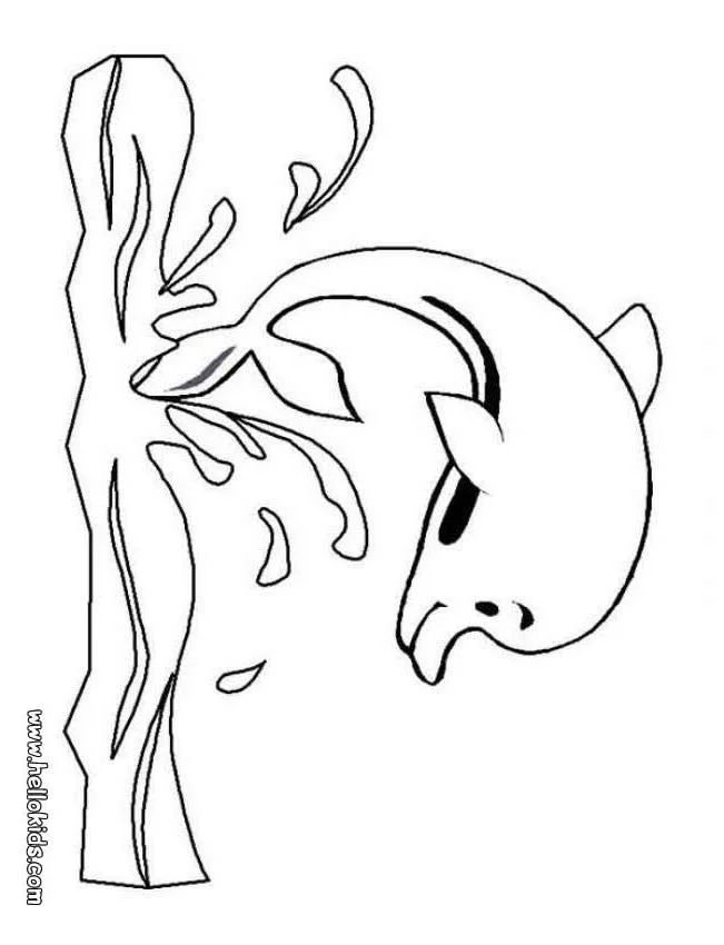 Dolphin Coloring Pages 25