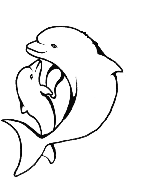 Dolphin Coloring Pages 41