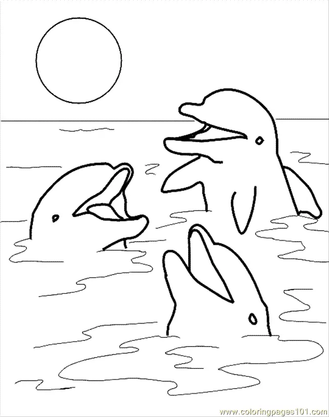Dolphin Coloring Pages 49
